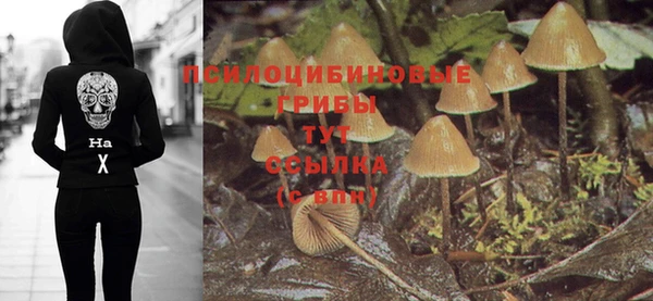 COCAINE Гусь-Хрустальный