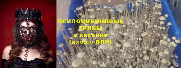 COCAINE Гусь-Хрустальный