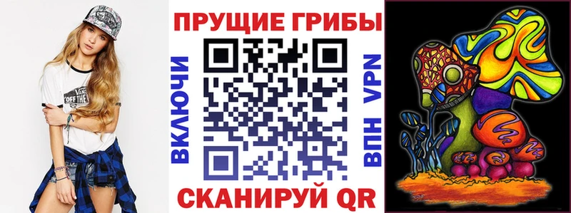Купить где  Мариинский Посад  Псилоцибиновые грибы GOLDEN TEACHER 